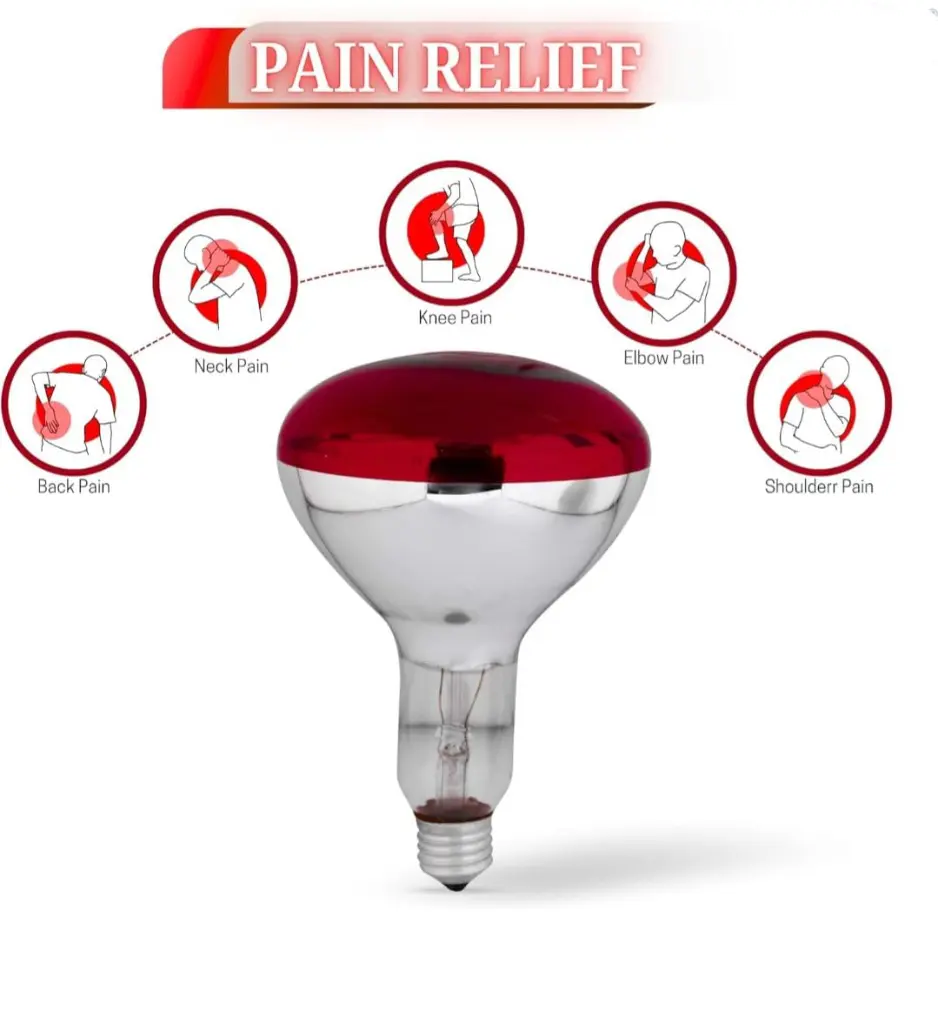 lamp3.webp